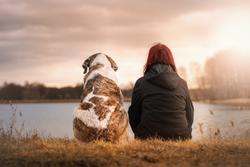 Bambini stressati, un animale per amico